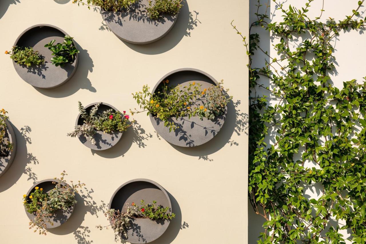 Alkima Athens Hotel 외부 사진